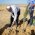 MK Itamar Ben Gvir plant a tree outside the Bedouin village of Mulada, in the Negev desert, southern Israel, January 12, 2022. Photo by Flash90 *** Local Caption *** איתמר בן גביר
נטיעות
בדואים
טו בשבט
מולדה